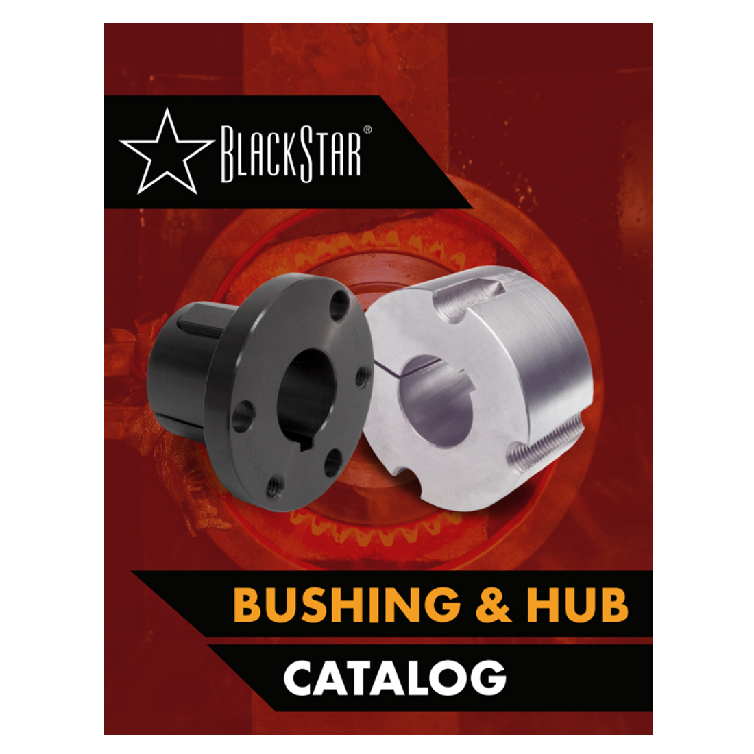  - Catalogs